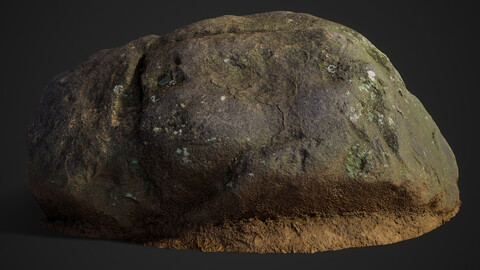 Medium Forest Boulder 03