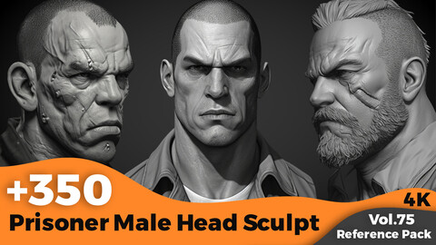 +350 Prisoner Male Head Sculp References (4k)