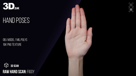 Raw Hand Scan | 3D Model Figgy