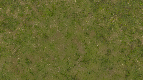 Grass Seamless Texture 2k (2048*2048) | EXR 5 | JPG 5 File Formats All Texture Apply After Object Look Like A 3D. (1K preview image)