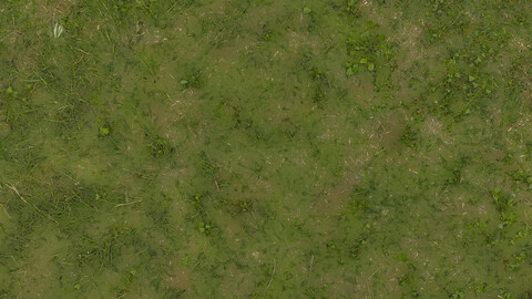 Grass Seamless Texture 2k (2048*2048) | EXR 5 | JPG 5 File Formats All Texture Apply After Object Look Like A 3D. (1K preview image)