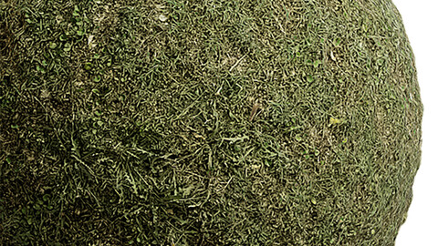 Grass Seamless Texture Patterns 2k (2048*2048) | EXR 5 | JPG 5 File Formats. (1K preview image)