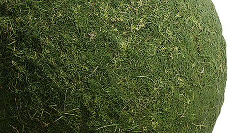 Grass Seamless Texture Patterns 2k (2048*2048) | EXR 5 | JPG 5 File Formats. (1K preview image)