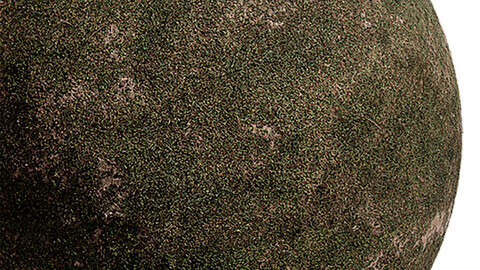 Grass Seamless Texture Patterns 2k (2048*2048) | EXR 5 | JPG 5 File Formats. (1K preview image)