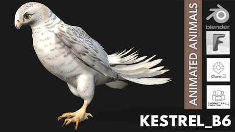 Kestrel_B6