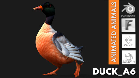 Duck_A6