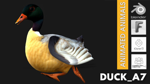 Duck_A7