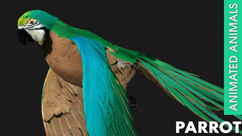 Parrot_A5