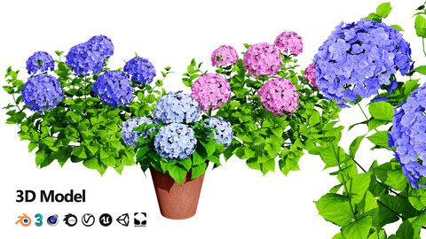 LowPoly Mophead Hydrangea Flowering Shrub with free tutorial