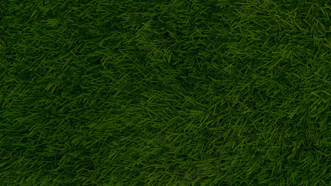 Grass Seamless Texture 2k (2048*2048) | EXR 5 | JPG 5 File Formats All Texture Apply After Object Look Like A 3D. (1K preview image)