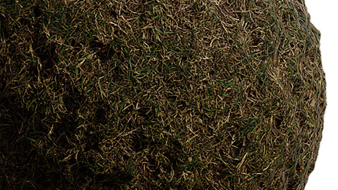 Grass Seamless Texture Patterns 2k (2048*2048) | EXR 5 | JPG 5 File Formats. (1K preview image)