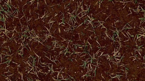 Grass Seamless Texture 2k (2048*2048) | EXR 5 | JPG 5 File Formats All Texture Apply After Object Look Like A 3D. (1K preview image)