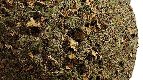 Grass Seamless Texture Patterns 2k (2048*2048) | EXR 5 | JPG 5 File Formats. (1K preview image)