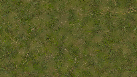 Grass Seamless Texture 2k (2048*2048) | EXR 5 | JPG 5 File Formats All Texture Apply After Object Look Like A 3D. (1K preview image)