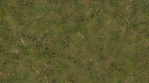 Grass Seamless Texture 2k (2048*2048) | EXR 5 | JPG 5 File Formats All Texture Apply After Object Look Like A 3D. (1K preview image)