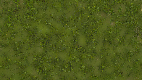 Grass Seamless Texture 2k (2048*2048) | EXR 5 | JPG 5 File Formats All Texture Apply After Object Look Like A 3D. (1K preview image)