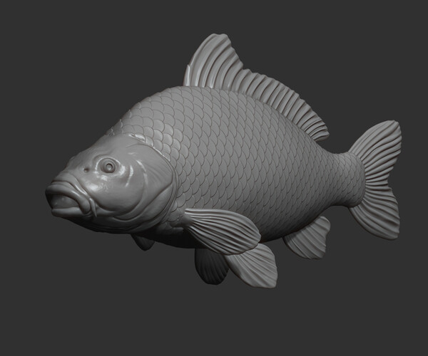 ArtStation - Carp fish on the base | Resources