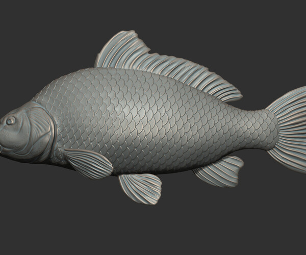 ArtStation - Carp fish on the base | Resources