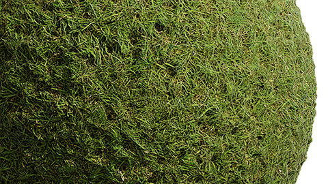 Grass Seamless Texture Patterns 2k (2048*2048) | EXR 5 | JPG 5 File Formats. (1K preview image)