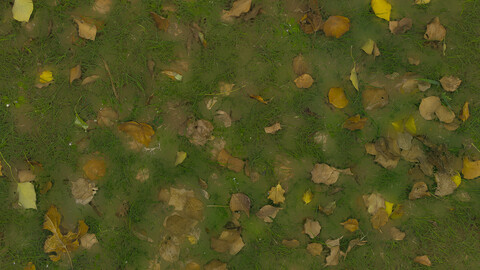 Grass Seamless Texture 2k (2048*2048) | EXR 5 | JPG 5 File Formats All Texture Apply After Object Look Like A 3D. (1K preview image)