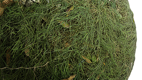 Grass Seamless Texture Patterns 2k (2048*2048) | EXR 5 | JPG 5 File Formats. (1K preview image)