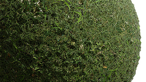 Grass Seamless Texture Patterns 2k (2048*2048) | EXR 5 | JPG 5 File Formats. (1K preview image)