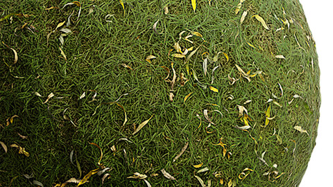 Grass Seamless Texture Patterns 2k (2048*2048) | EXR 5 | JPG 5 File Formats. (1K preview image)