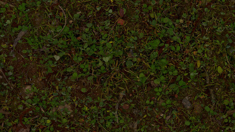 Grass Seamless Texture 2k (2048*2048) | EXR 5 | JPG 5 File Formats All Texture Apply After Object Look Like A 3D. (1K preview image)