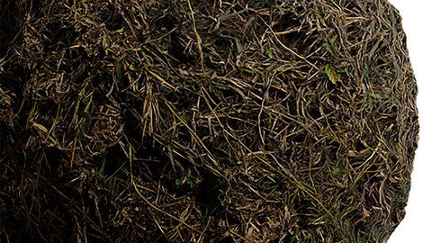 Grass Seamless Texture Patterns 2k (2048*2048) | EXR 5 | JPG 5 File Formats. (1K preview image)