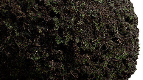 Grass Seamless Texture Patterns 2k (2048*2048) | EXR 5 | JPG 5 File Formats. (1K preview image)