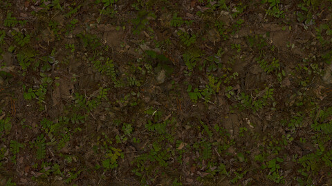 Grass Seamless Texture 2k (2048*2048) | EXR 5 | JPG 5 File Formats All Texture Apply After Object Look Like A 3D. (1K preview image)