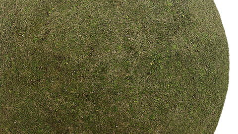 Grass Seamless Texture Patterns 2k (2048*2048) | EXR 5 | JPG 5 File Formats. (1K preview image)