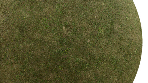 Grass Seamless Texture Patterns 2k (2048*2048) | EXR 5 | JPG 5 File Formats. (1K preview image)