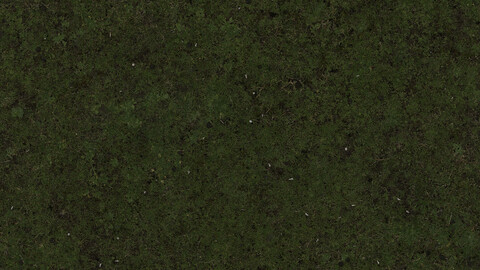 Grass Seamless Texture 2k (2048*2048) | EXR 5 | JPG 5 File Formats All Texture Apply After Object Look Like A 3D. (1K preview image)