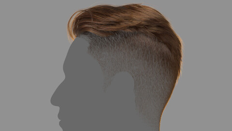 Male Hairstyle XGen maya scene(+alembic)