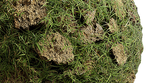 Grass Seamless Texture Patterns 2k (2048*2048) | EXR 5 | JPG 5 File Formats. (1K preview image)