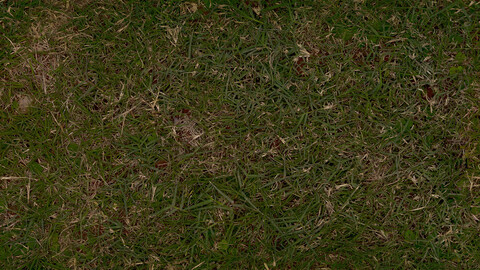 Grass Seamless Texture 2k (2048*2048) | EXR 6 | JPG 6 File Formats All Texture Apply After Object Look Like A 3D. (1K preview image)