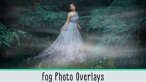 Fog Photo Overlays