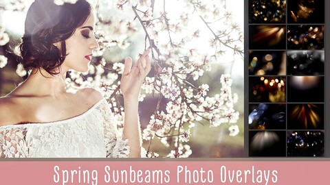 Spring Sunbeams Photo Overlays