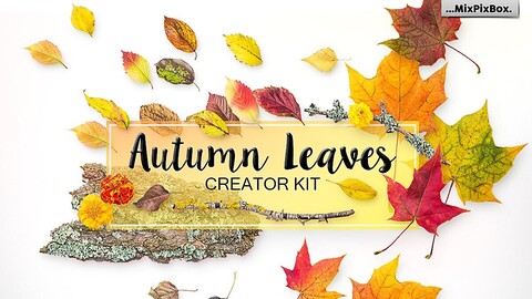 Autumn Leaves -Png Elements & Scenes