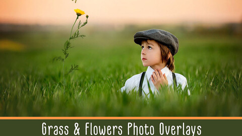 Grass and Flowers Photo Overlays