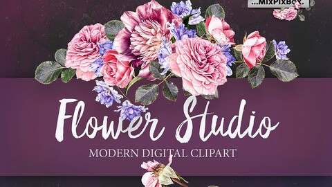 Flower Studio Clipart