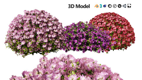 Aster flower 3d collection