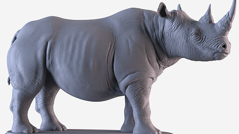 Rhino