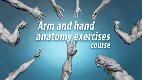 Arm and hand anatomy exercises course