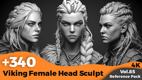 +340 Viking Female Head Sculpt Reference(4k)