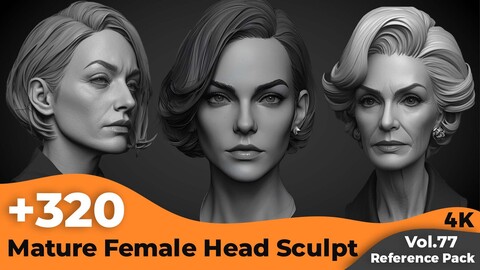 +320 Mature Female Head Sculpt(4k)