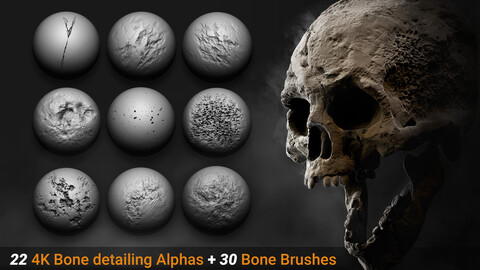 Zbrush + Blender | 30 Bone detailing Brushes + Alphas