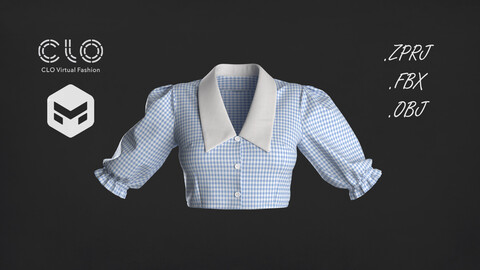 Collar Blouse 3D Model