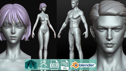 Rigged Fantasy slim girl man male Base female anatomy woman young girl Zbursh Highpoly Anatomy pack human cartoon male female torso head body foot hand highpoly basemesh young anatomy